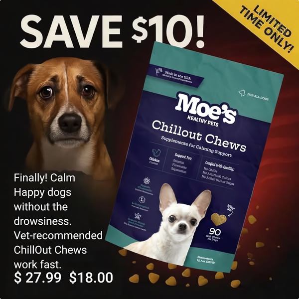 A 1:1 square ad creative for dog calming supplements, featuring a high-contrast pricing offer and product benefit breakdown.